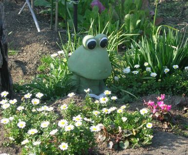 花壇にはふくろうや、アヒルの親子などがいました