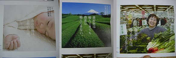 image/080325-215235-koukoku.jpg