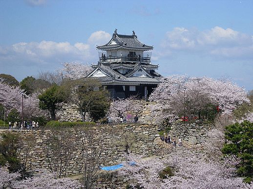 市議団控え室から見える浜松城です