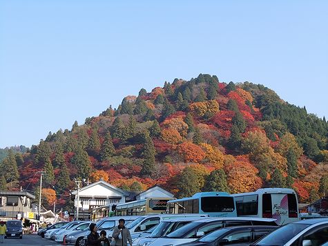 image/101121-235635-1121kourankei3.jpg