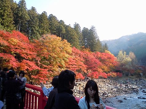 image/101121-235635-1121kourankei5.jpg