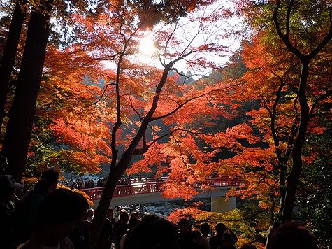 image/101121-235635-1121kourankei6.jpg